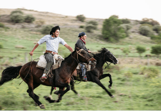 El Martín Fierro contaba al gaucho como nadie lo había hecho hasta entonces.