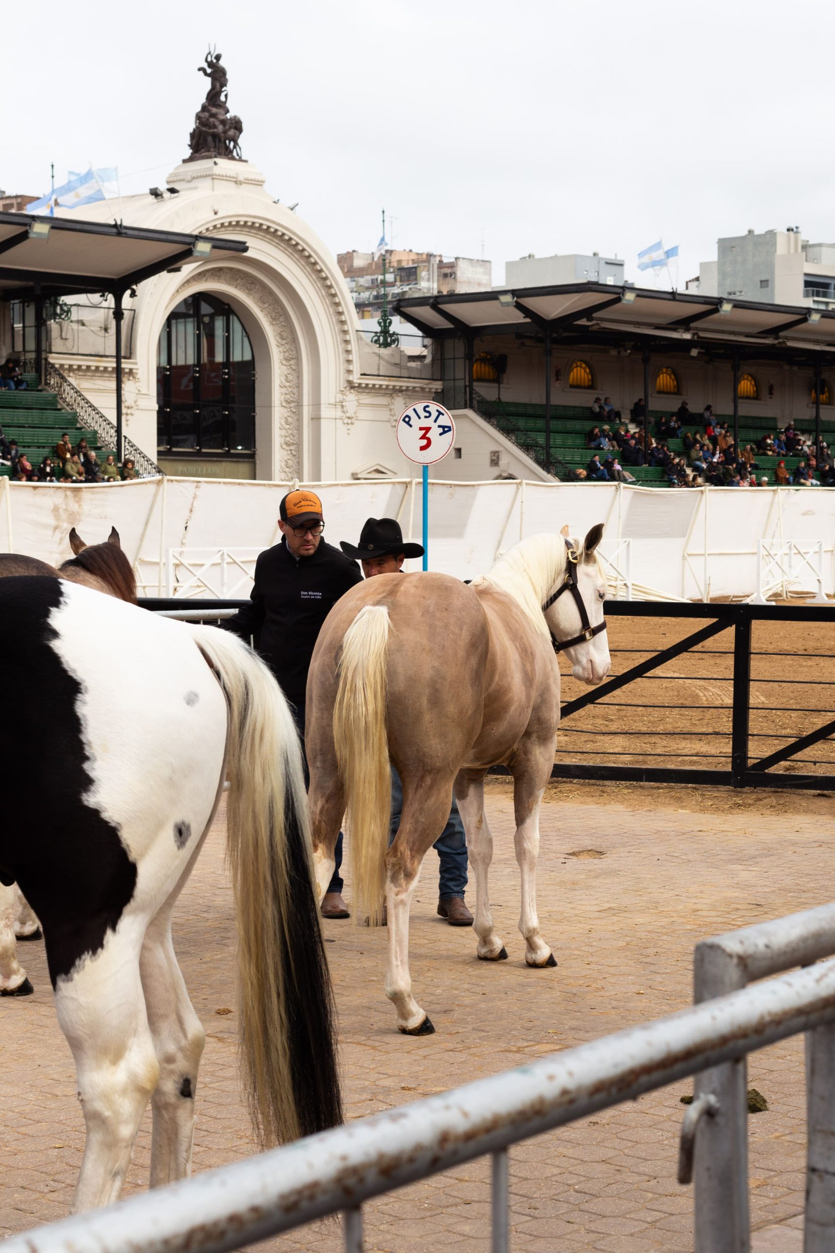 Un Crisol de Caballos: variedad para todos los gustos